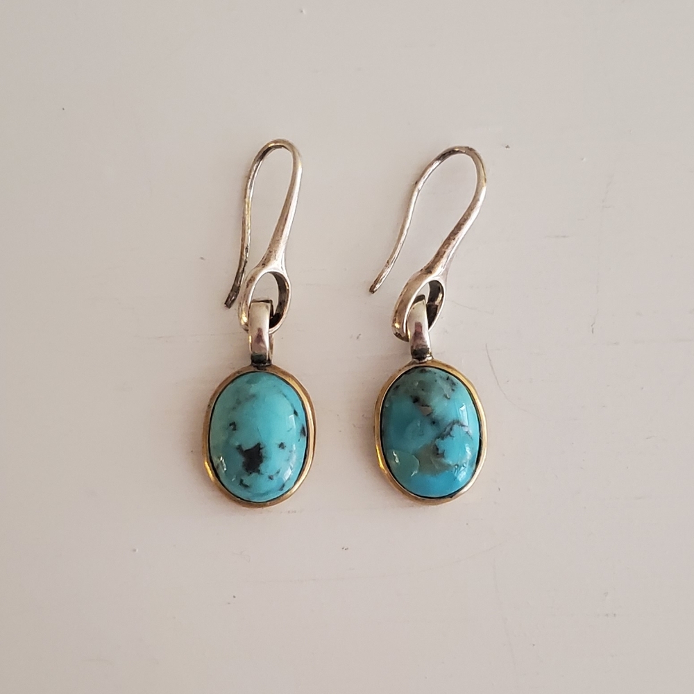 VTG Chapin & Hollister Earrings